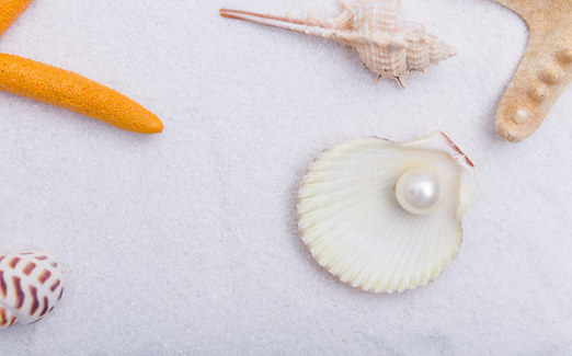 貝珠和淡水珍珠的區別是什么，貝珍珠和淡水珍珠的區別